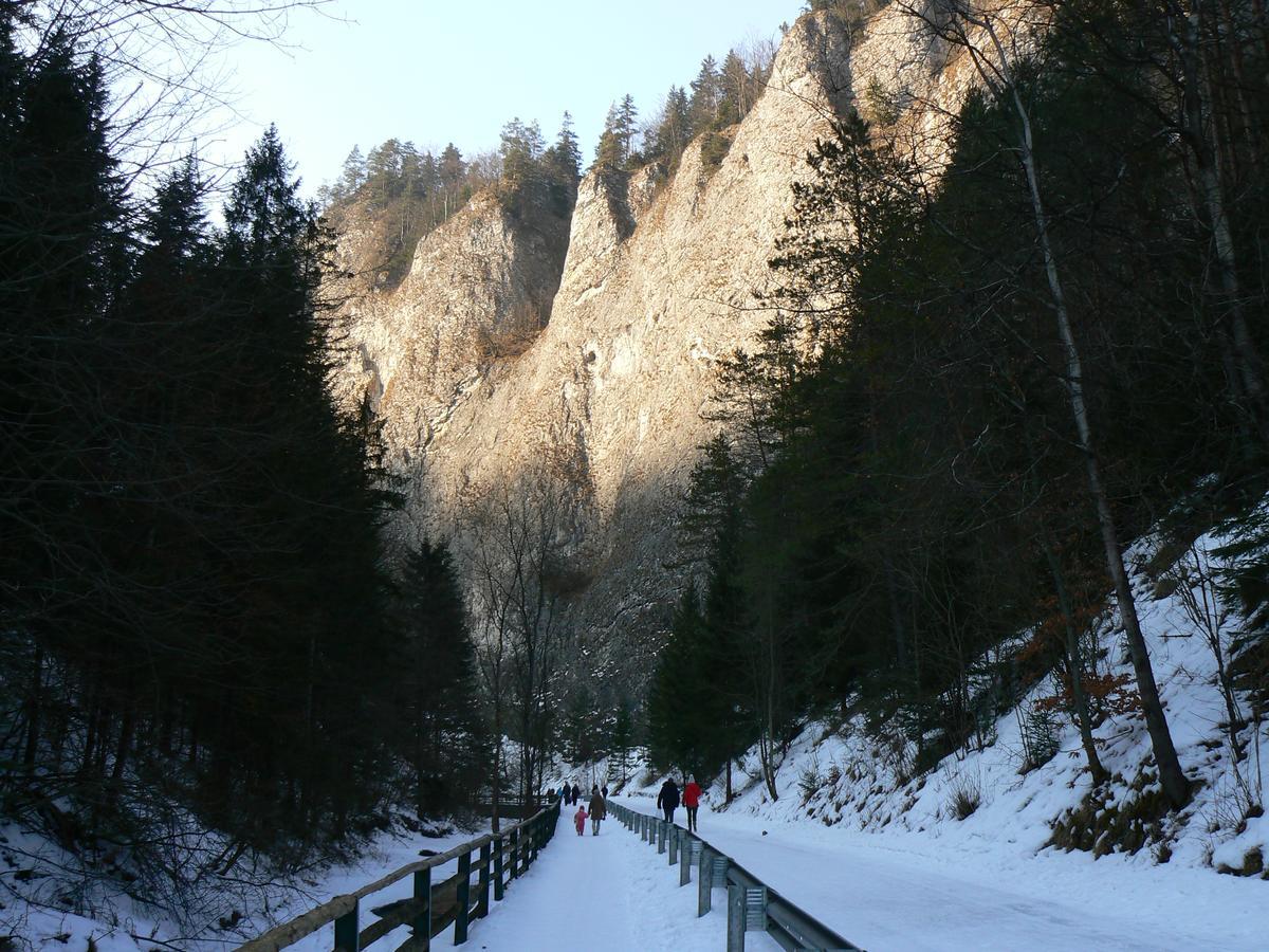 Rekreacna Usadlost Pieninka Lesnica Exterior foto
