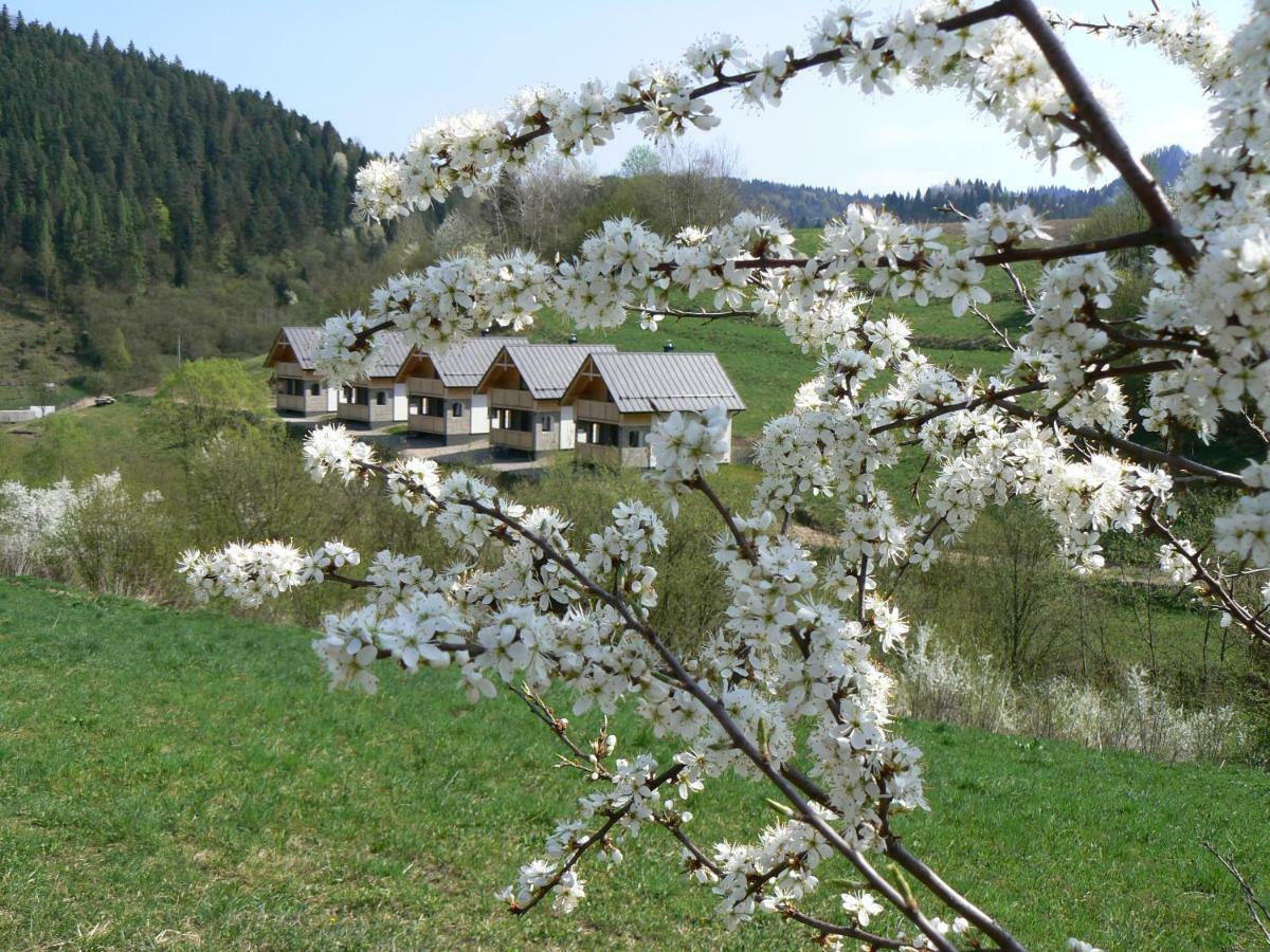 Rekreacna Usadlost Pieninka Lesnica Exterior foto